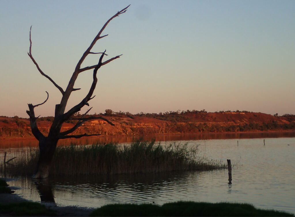 Berri – Riverland