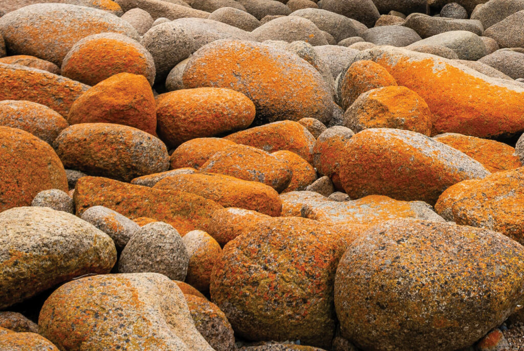 Close up of pebbles with orange hues.