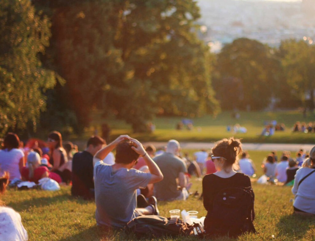 Many people sitting in a park on the grass in late afternoon sunlight.